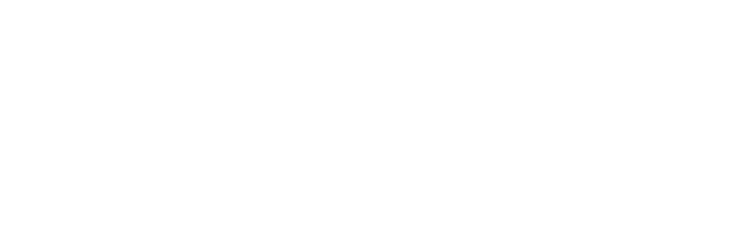 logo-vannini-scientifica-color copia